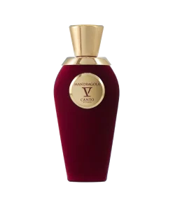 Mandragola de V Canto