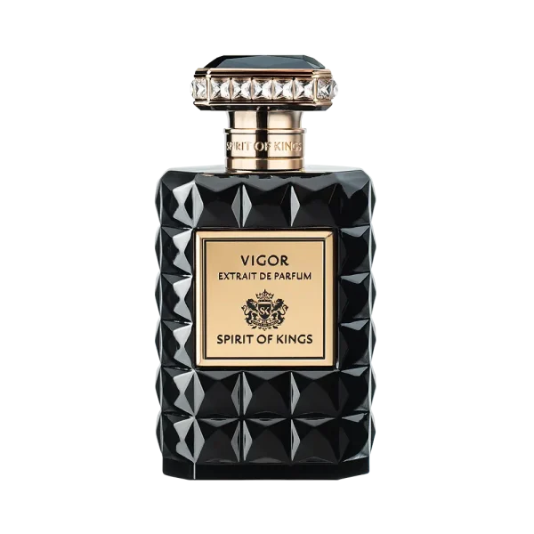 Vigor del perfume de nicho Spirit of Kings